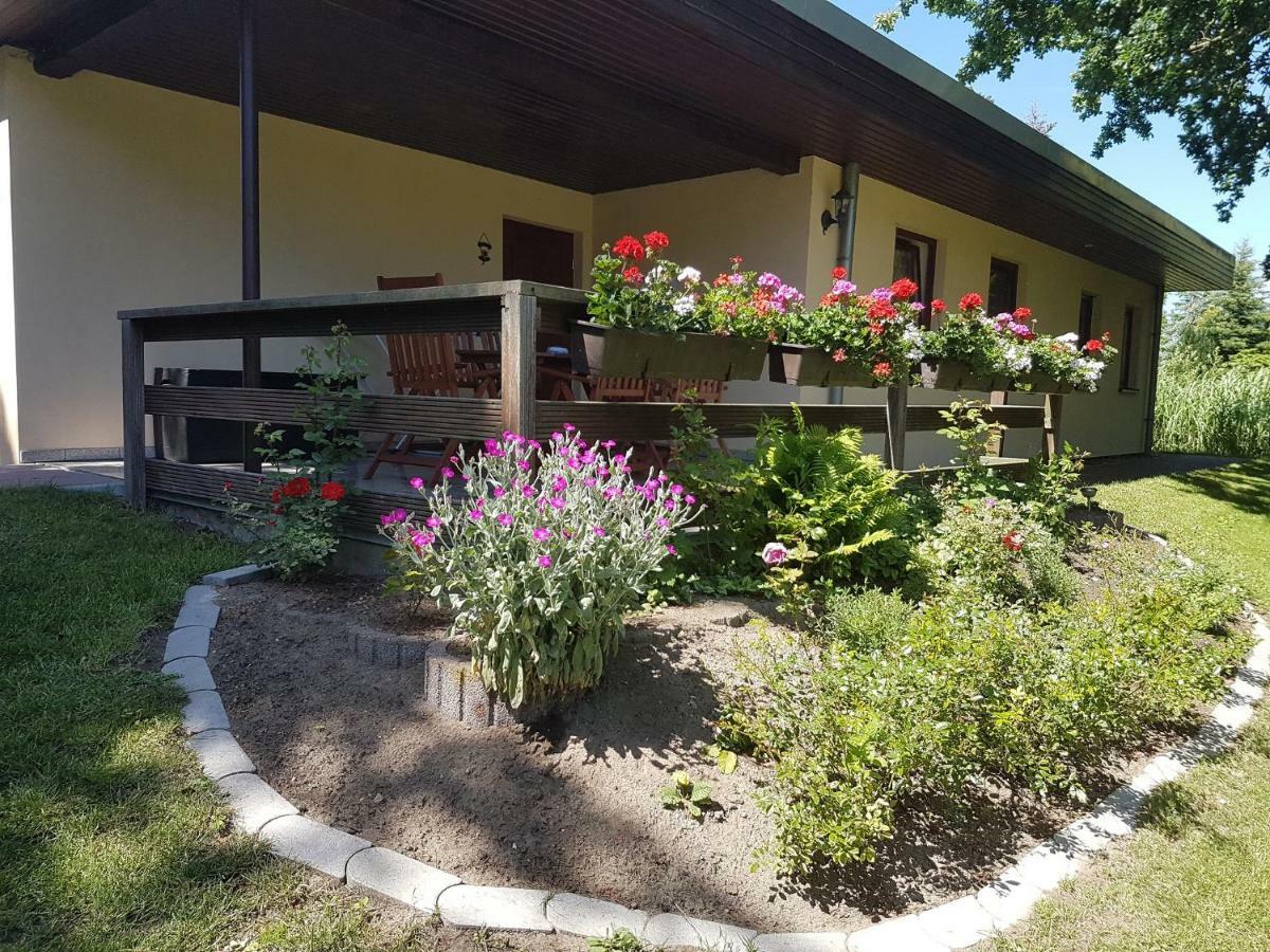Ferienwohnanlage "Am Bernsteinsee" Apartment Dierhagen Luaran gambar